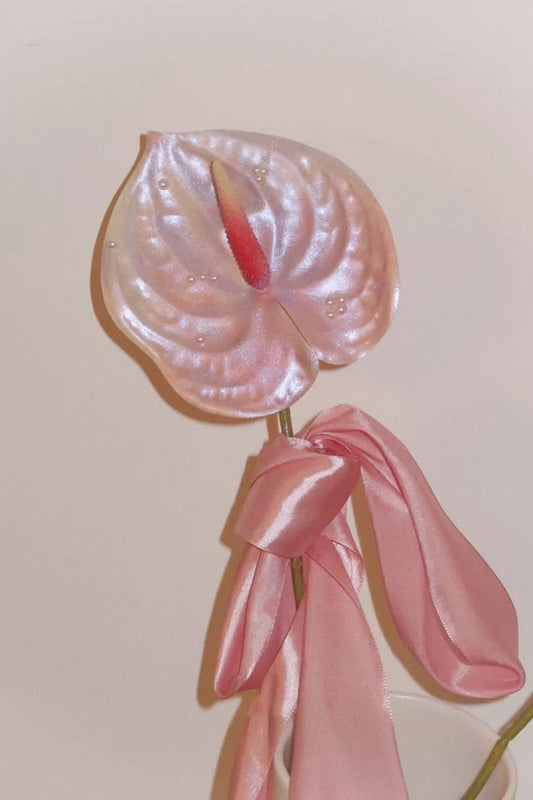 Ten Longest Lasting Flowers to Make Your Home Beautiful - Antherium - Crushes Flowers Melbourne Delivery