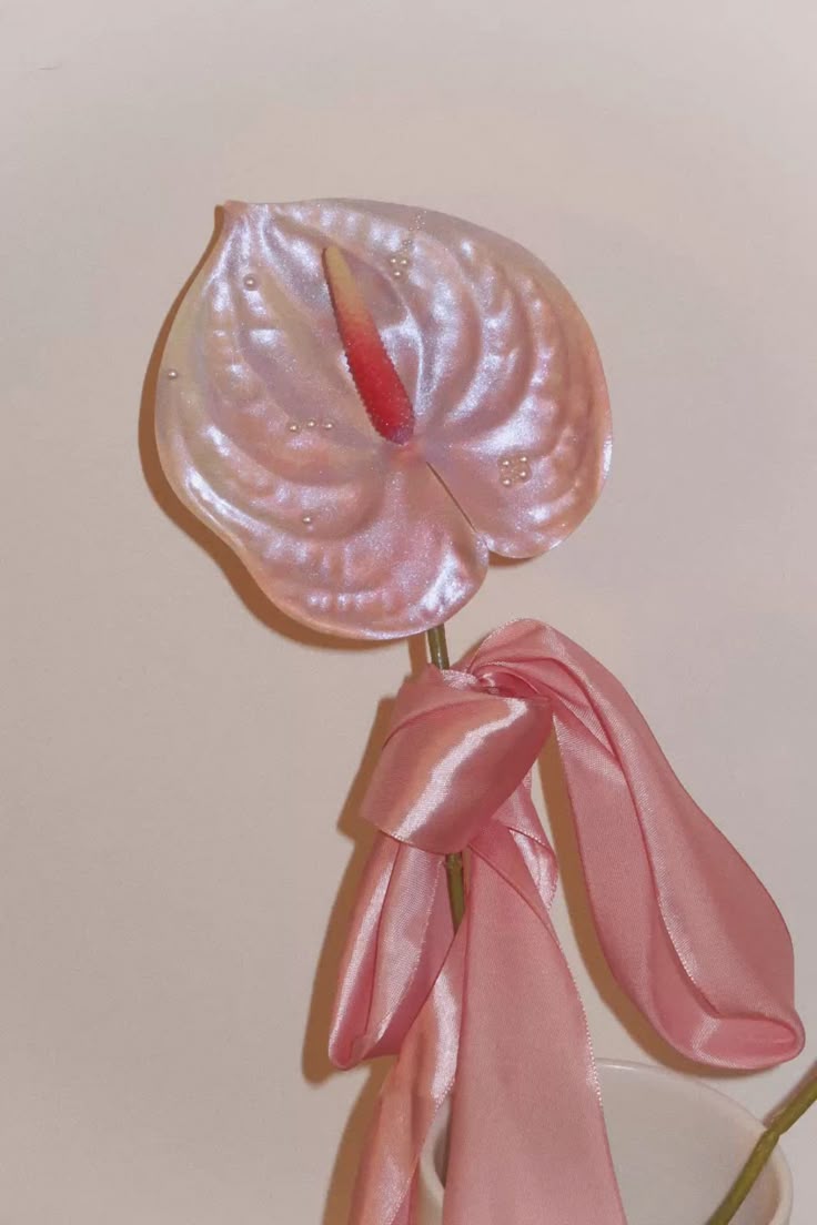 Ten Longest Lasting Flowers to Make Your Home Beautiful - Antherium - Crushes Flowers Melbourne Delivery