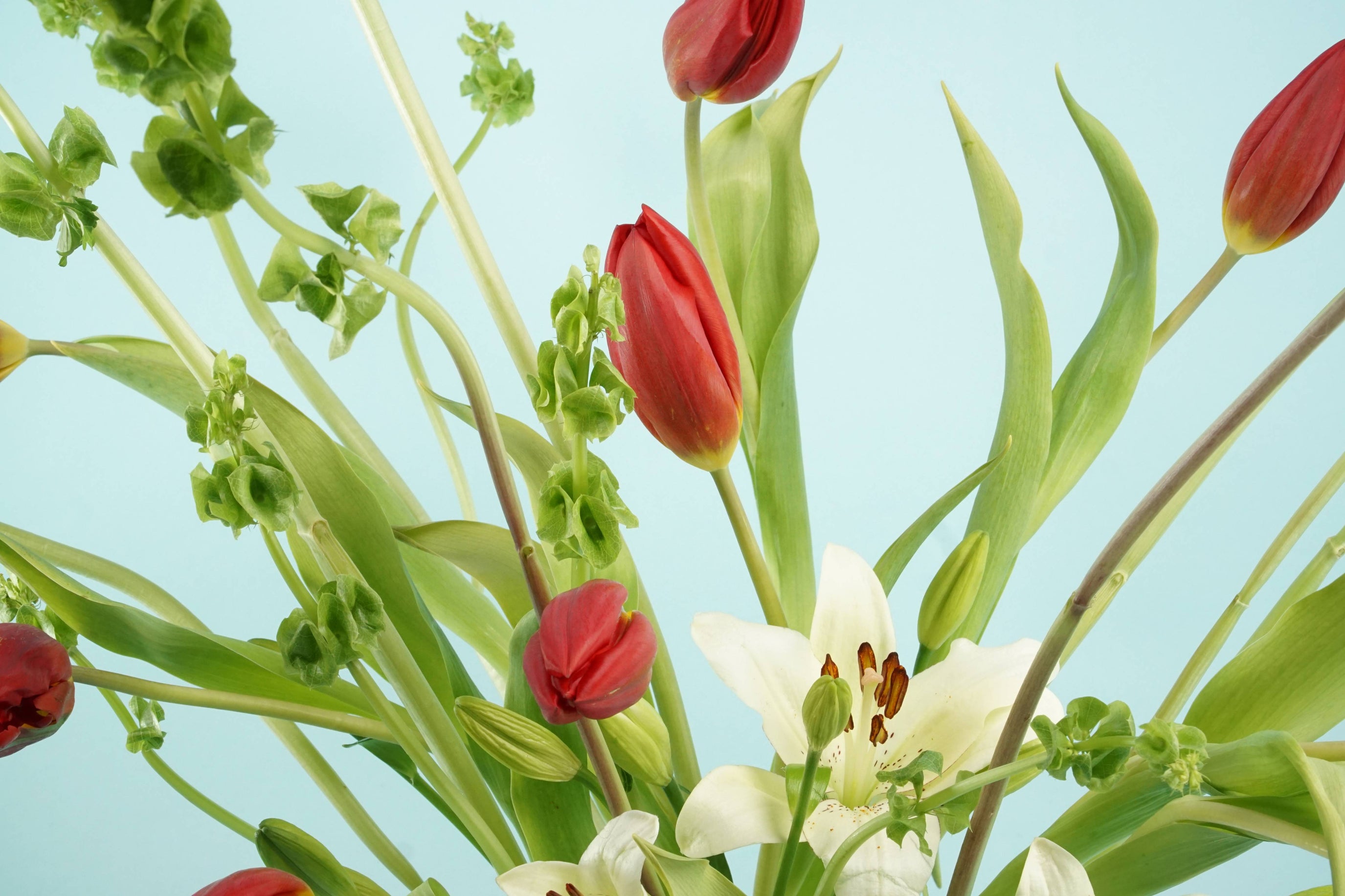 How to Make Flowers Last Longer