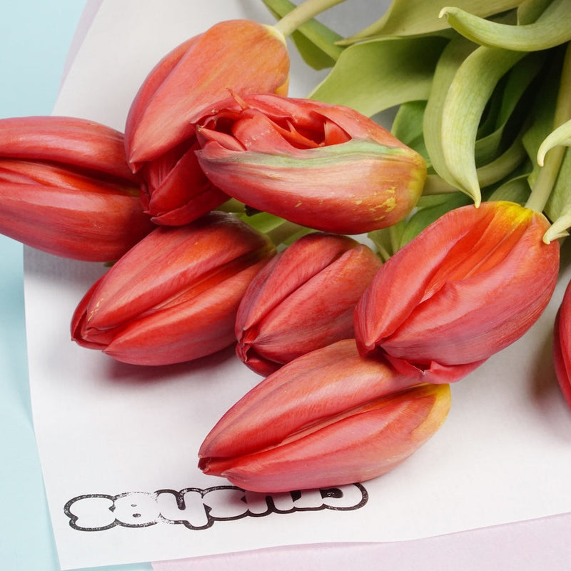 The Ultimate Guide to Same-Day Flower Delivery