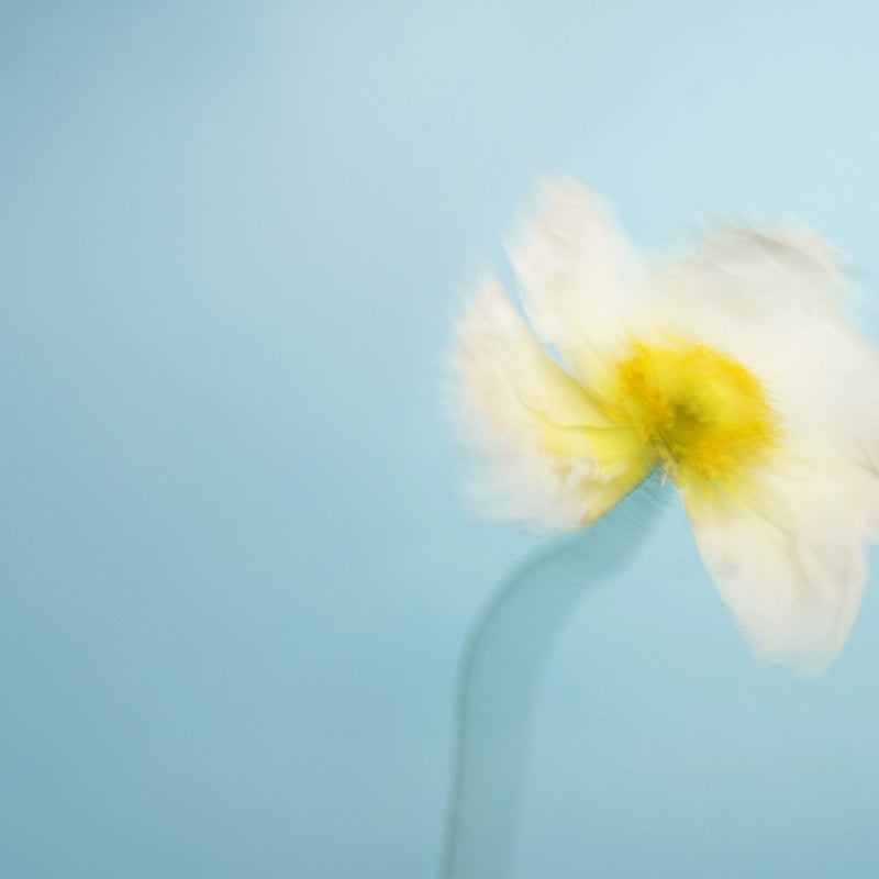 A woman walking down the street in the sun holding a bouquet of mothers day flowers.