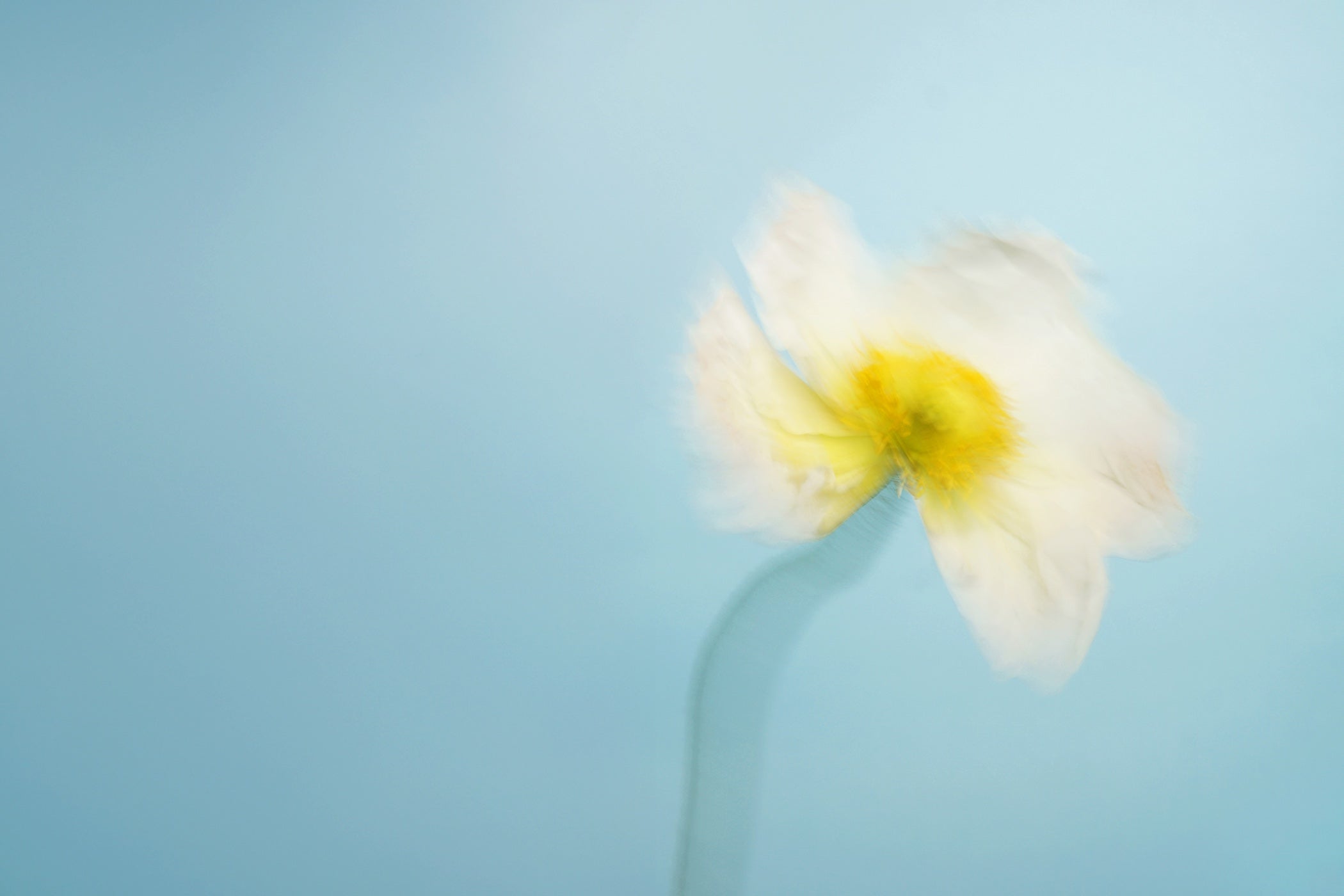 A woman walking down the street in the sun holding a bouquet of mothers day flowers.