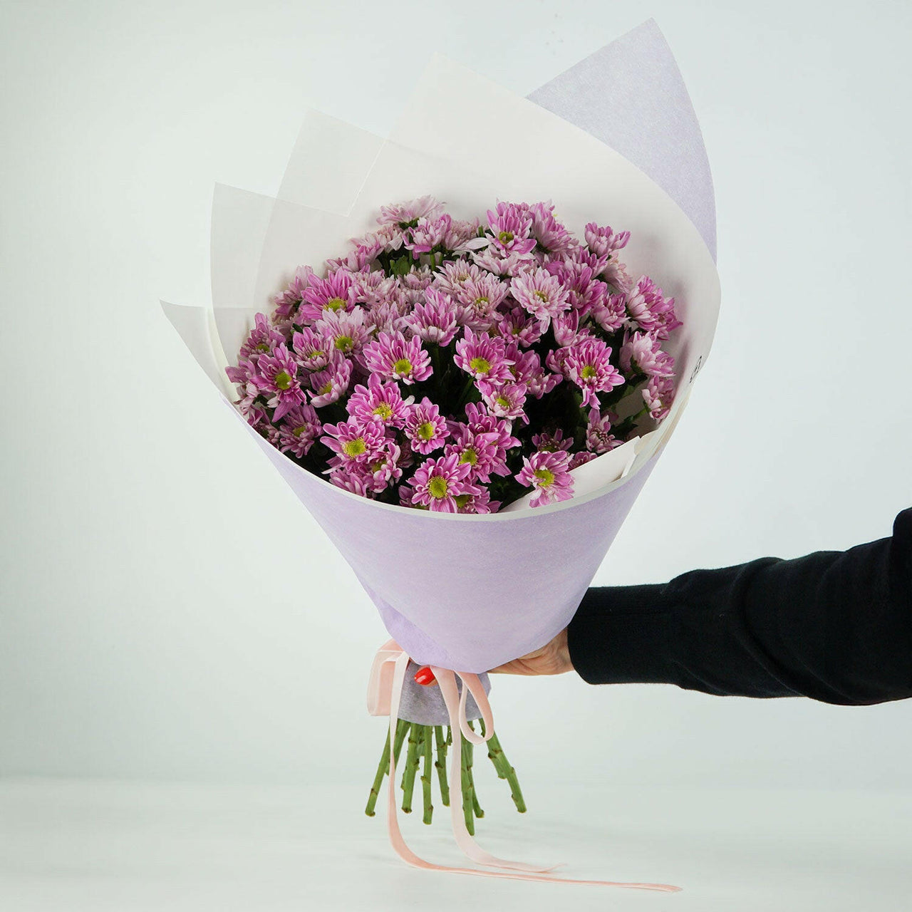 A hand holds a bouquet of vibrant pink chrysanthemums wrapped in light purple and white paper, tied with a pink ribbon against a plain background.