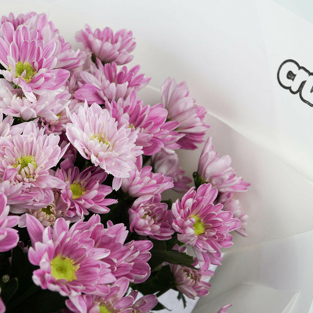 A vibrant bouquet of pink Chrysanthemum with white streaks, featuring bright green centres. The lively blooms convey a cheerful and fresh tone. A Crushes brand stamp is on the paper.