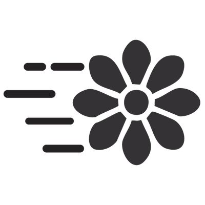 Black flower icon on a white background with speed lines, representing fast delivery.