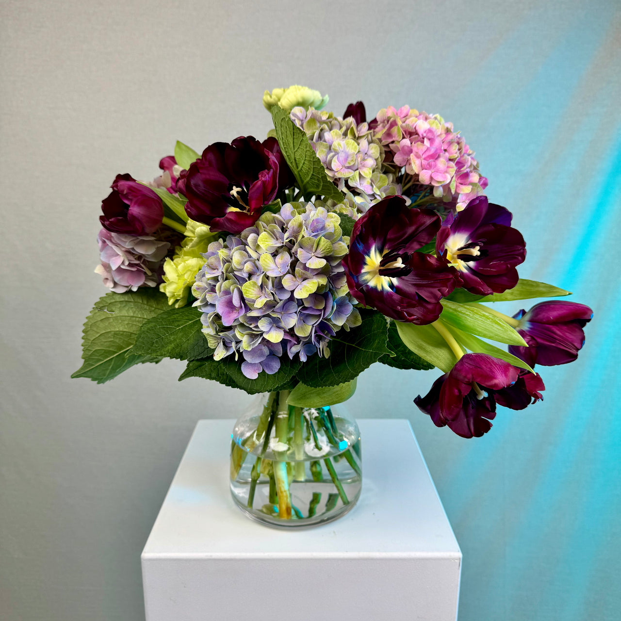 The #2 - Tulip & Hydy Salad