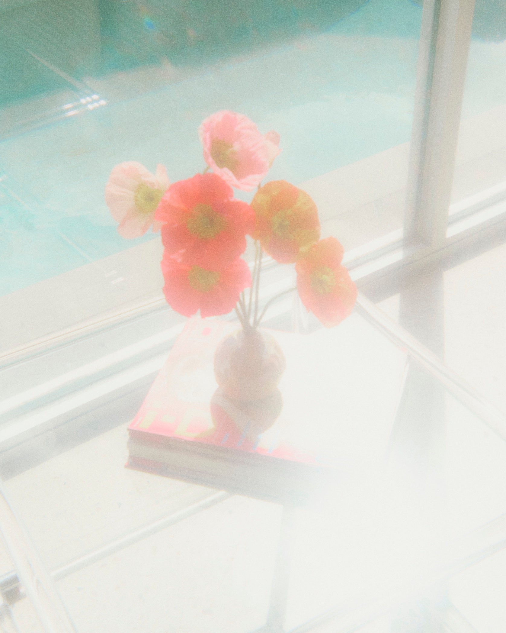 flower to the people