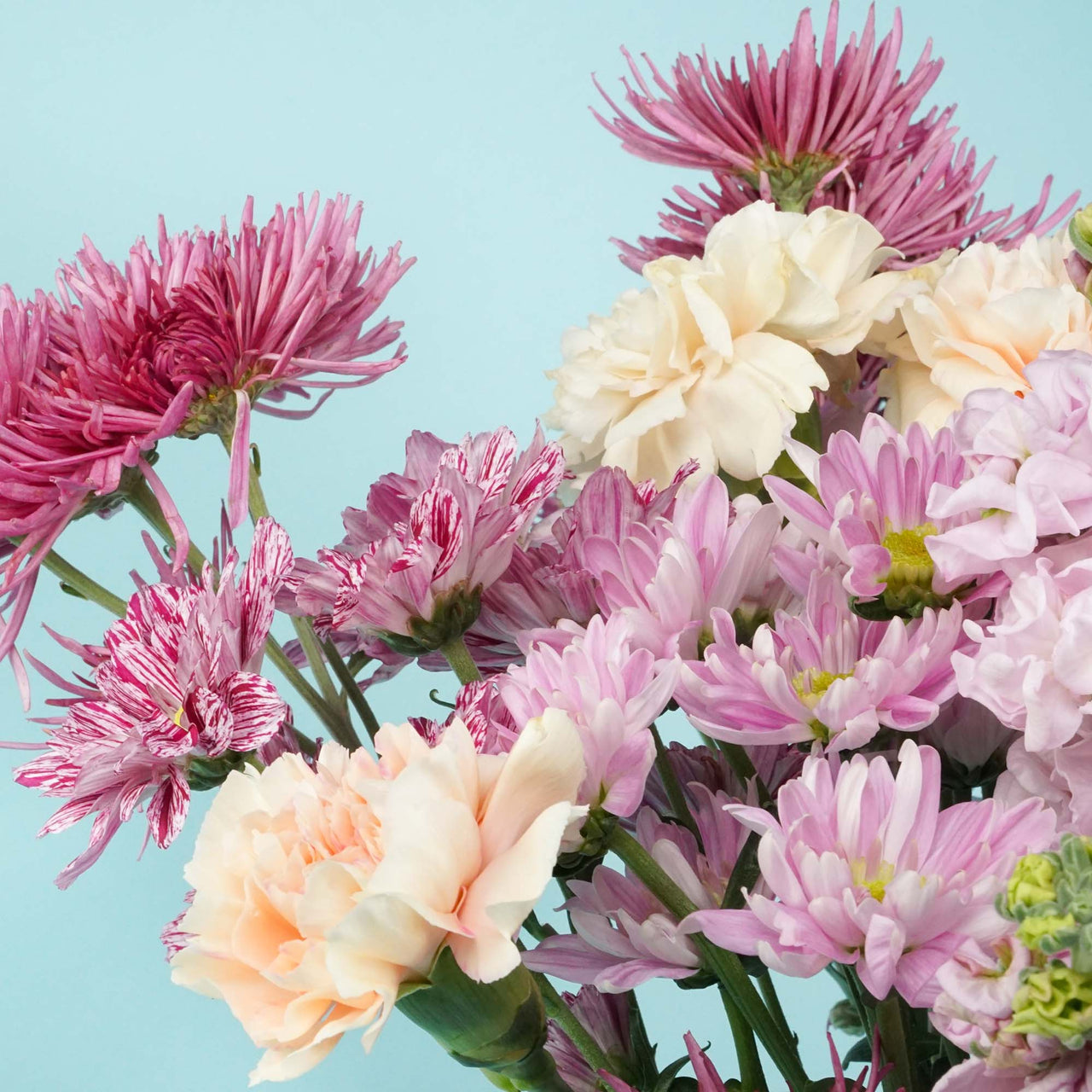 A vibrant bouquet of pink, purple, and cream flowers in a clear glass vase against a light blue background. The arrangement is lush and cheerful.