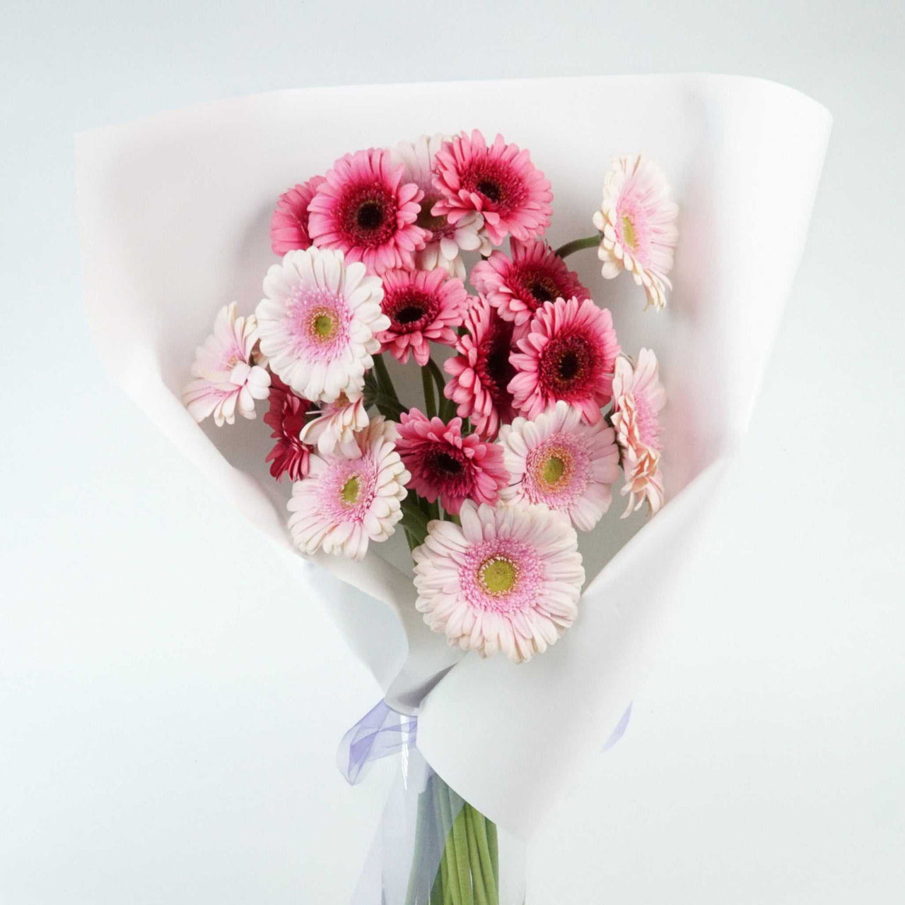 Pink Gerberas bouquet featuring vibrant pink and white flowers. Delivered across Melbourne - Crushes Flowers
