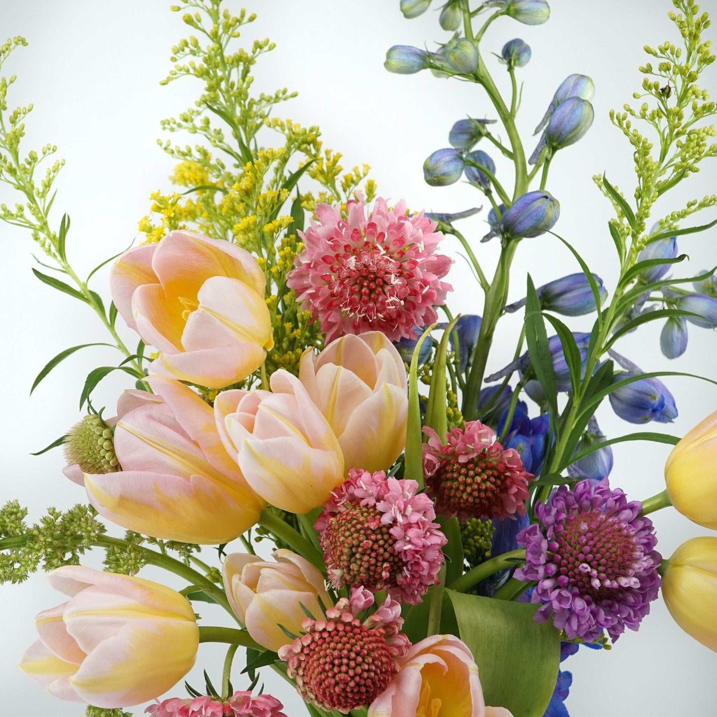 Colorful floral arrangement with tulips, delphinium, and pincushions in "The No.01 - Florist choice".