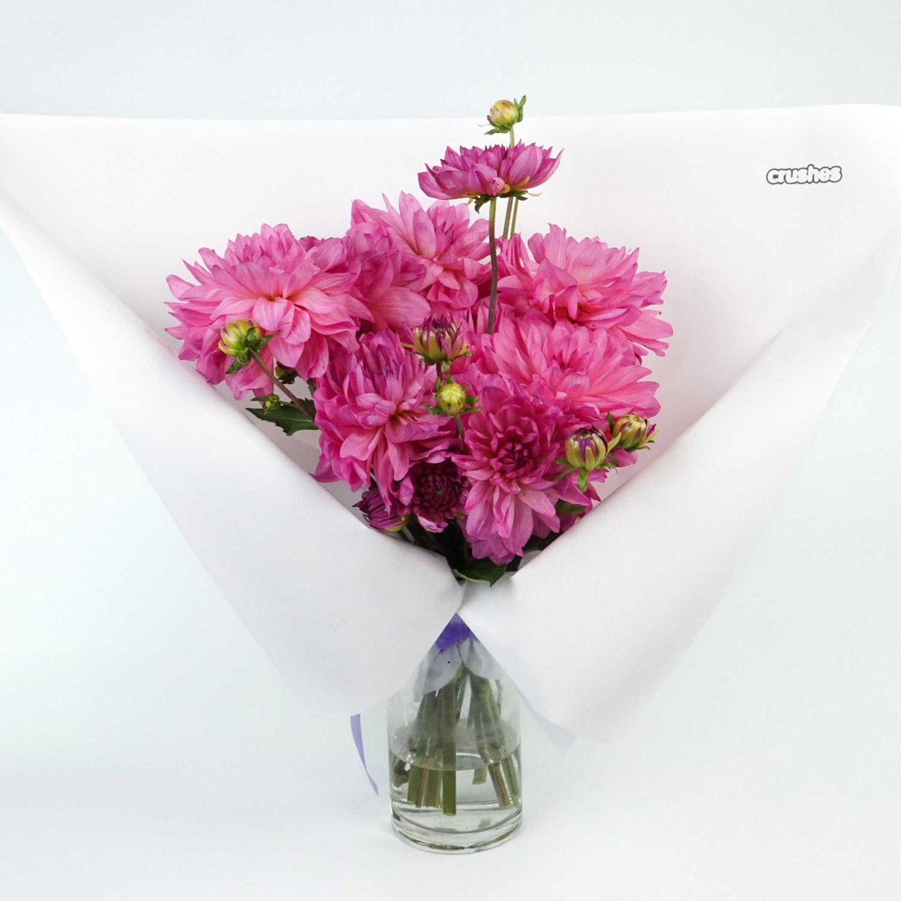 The Icons - Dahlias, vibrant pink flower bouquet wrapped in white paper.