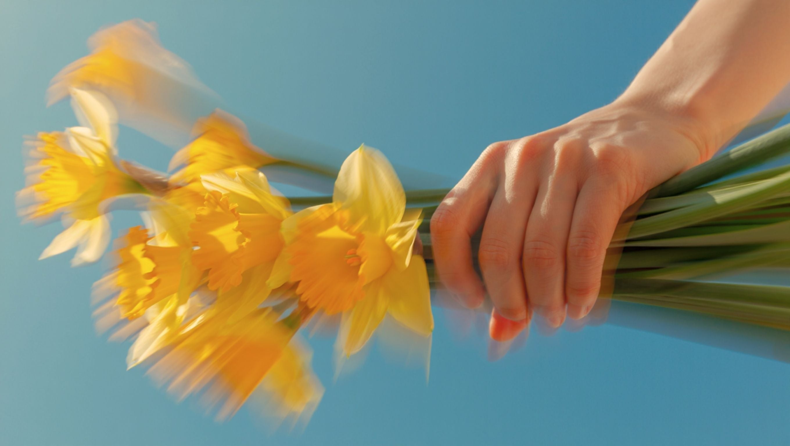 <h1>Supporting Daffodil Day</h1>