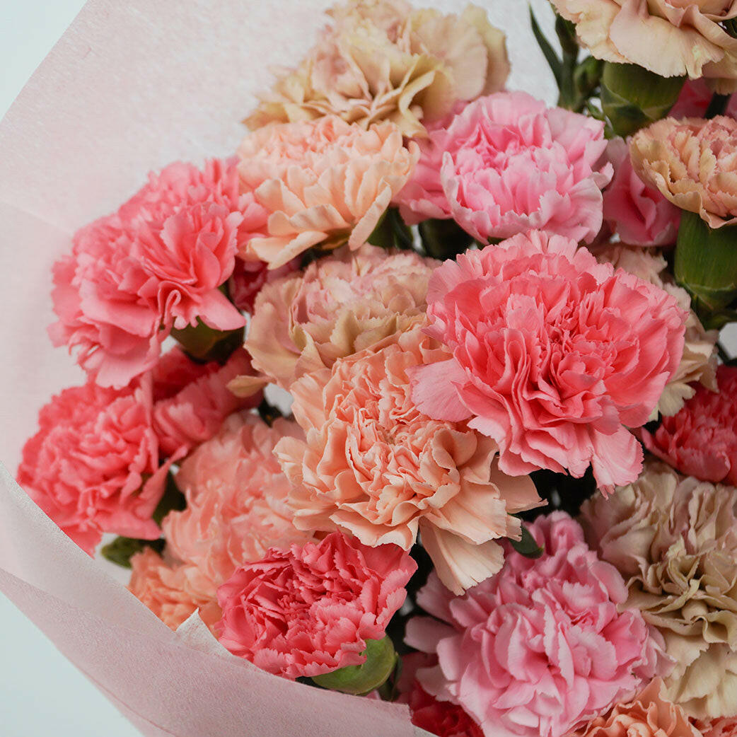 A vibrant assortment of pink and peach carnations, each with ruffled petals, closely arranged. The image conveys a sense of freshness and beauty.