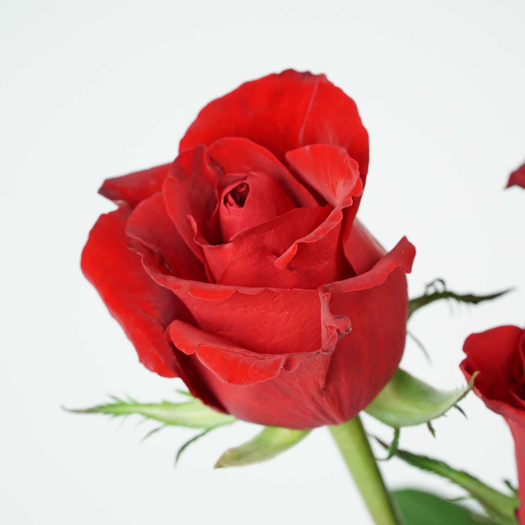 "Love You" Flowers