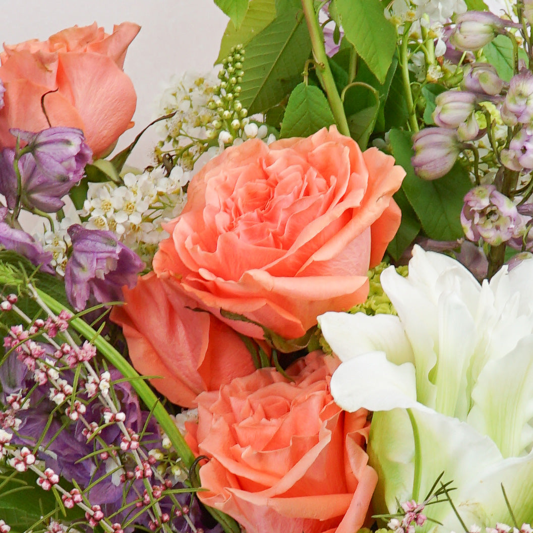 The #2 - Colourful Crush - Crushes Flowers