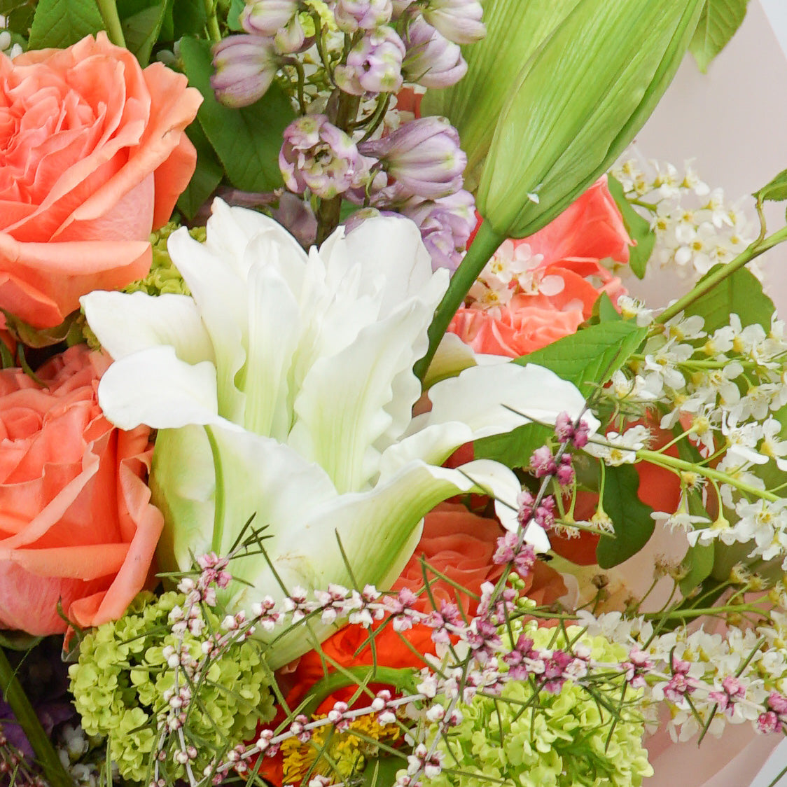 The #2 - Colourful Crush - Crushes Flowers