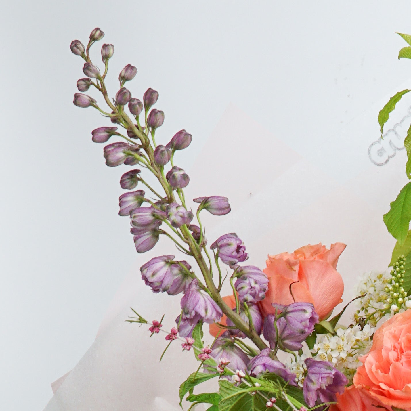 The #2 - Colourful Crush - Crushes Flowers