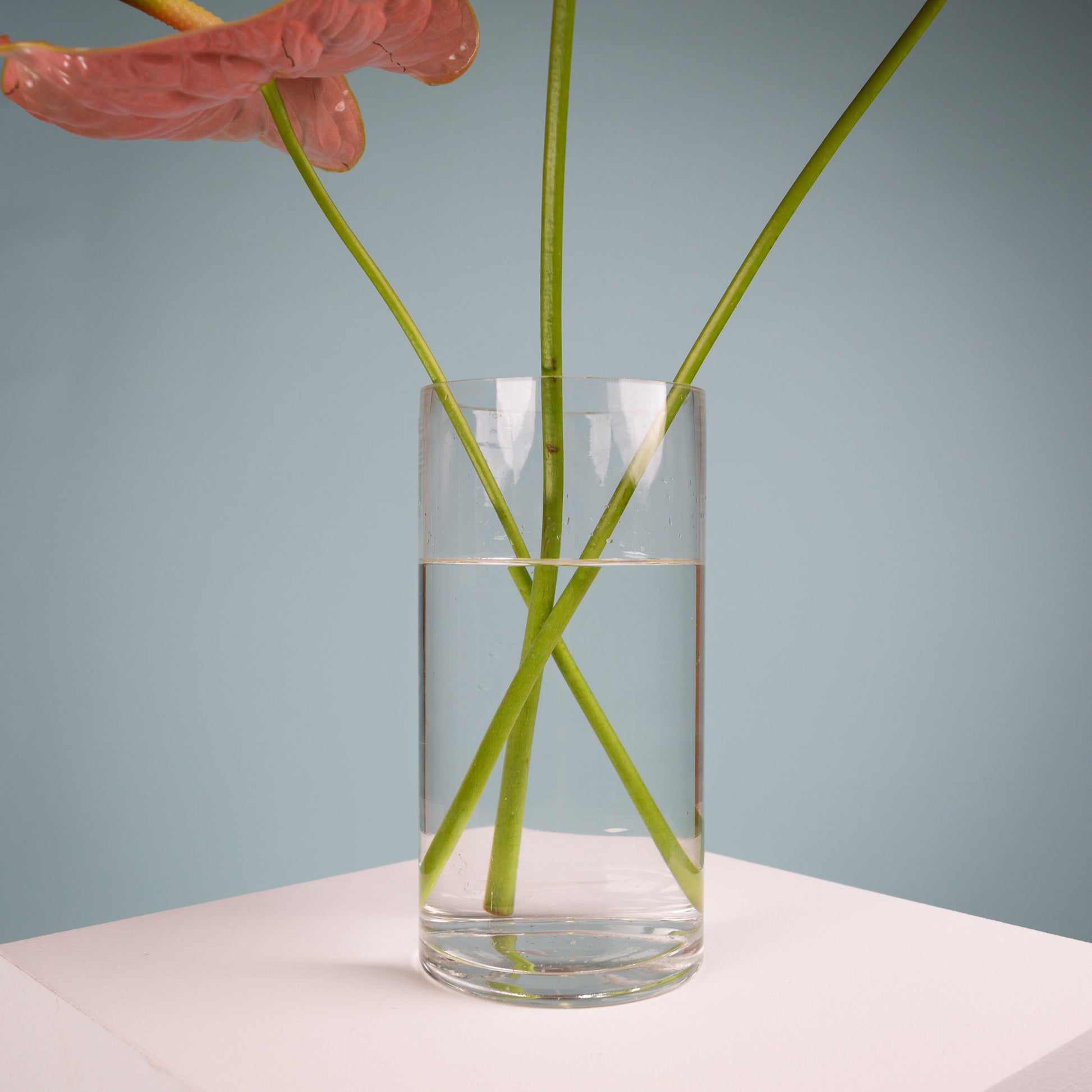 Vase - Fine Glass - Crushes Flowers