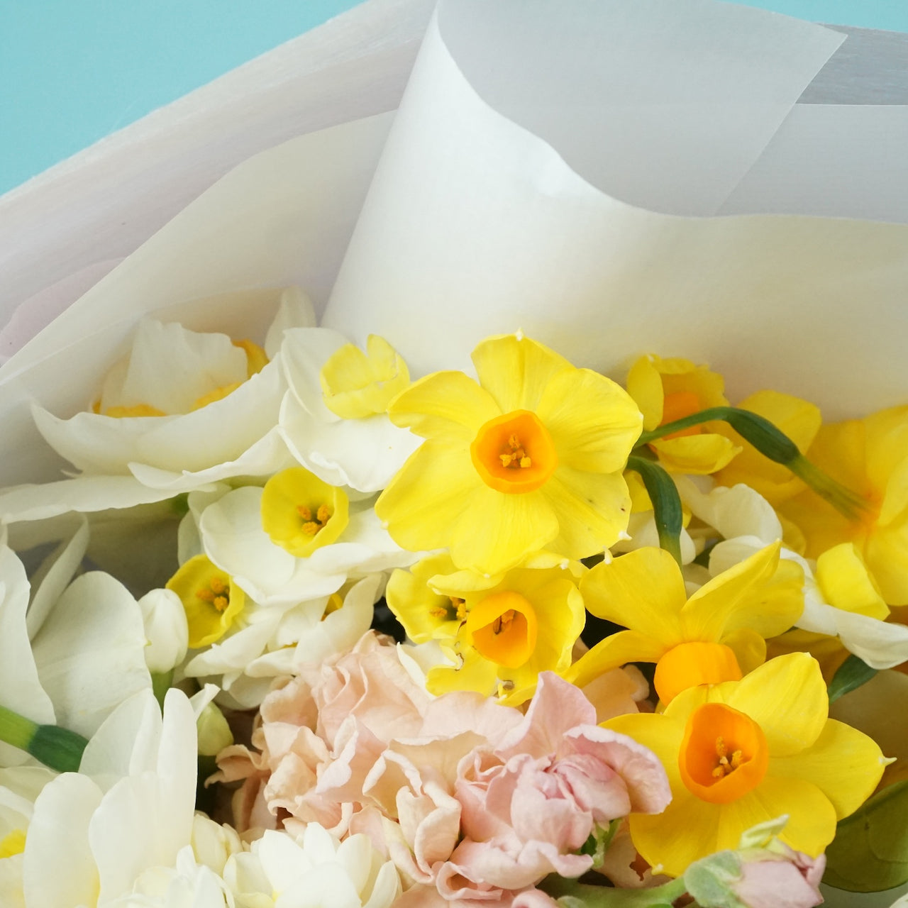 Daffodils - Pure Sunshine
