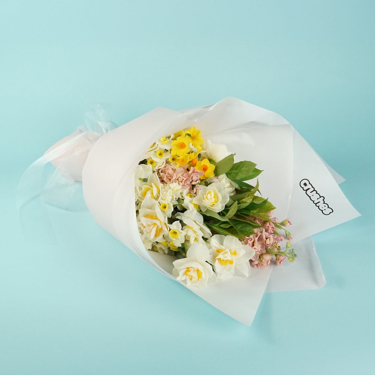Daffodils - Pure Sunshine