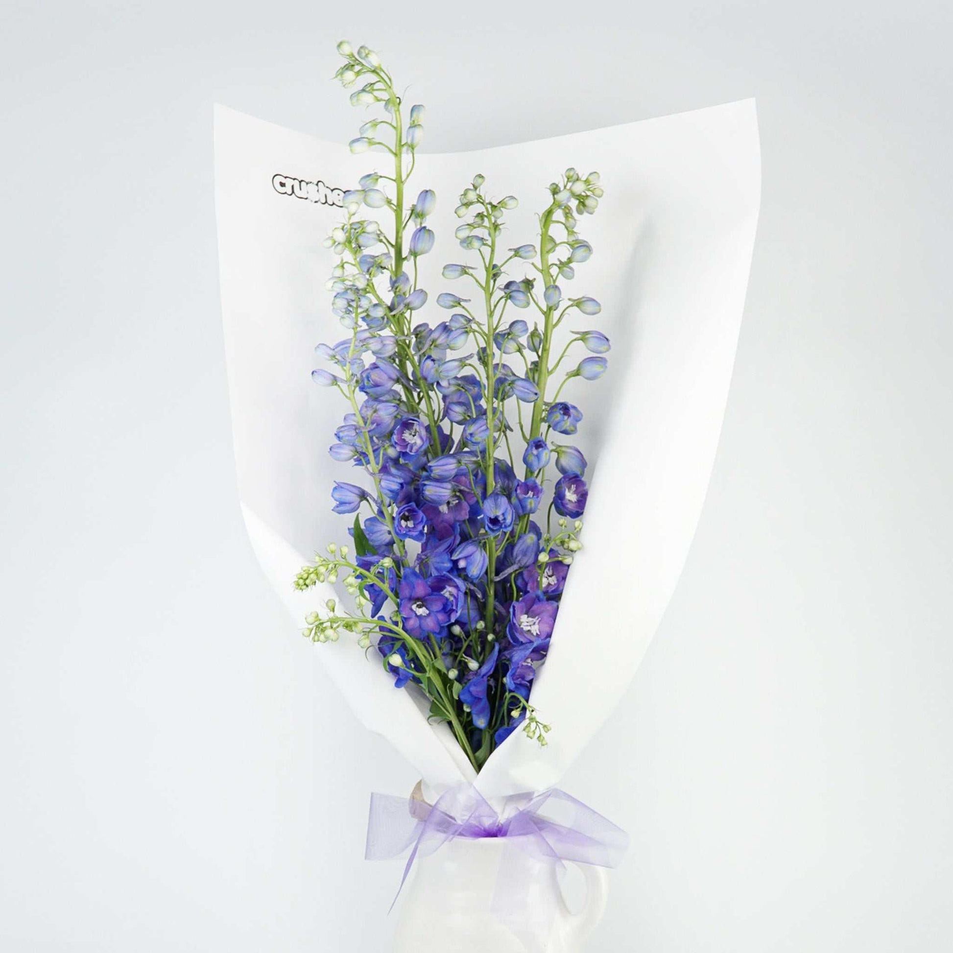 Purple delphinium flower bouquet with two bunches of flowers Delivered in Melbourne by Crushes Flowers.