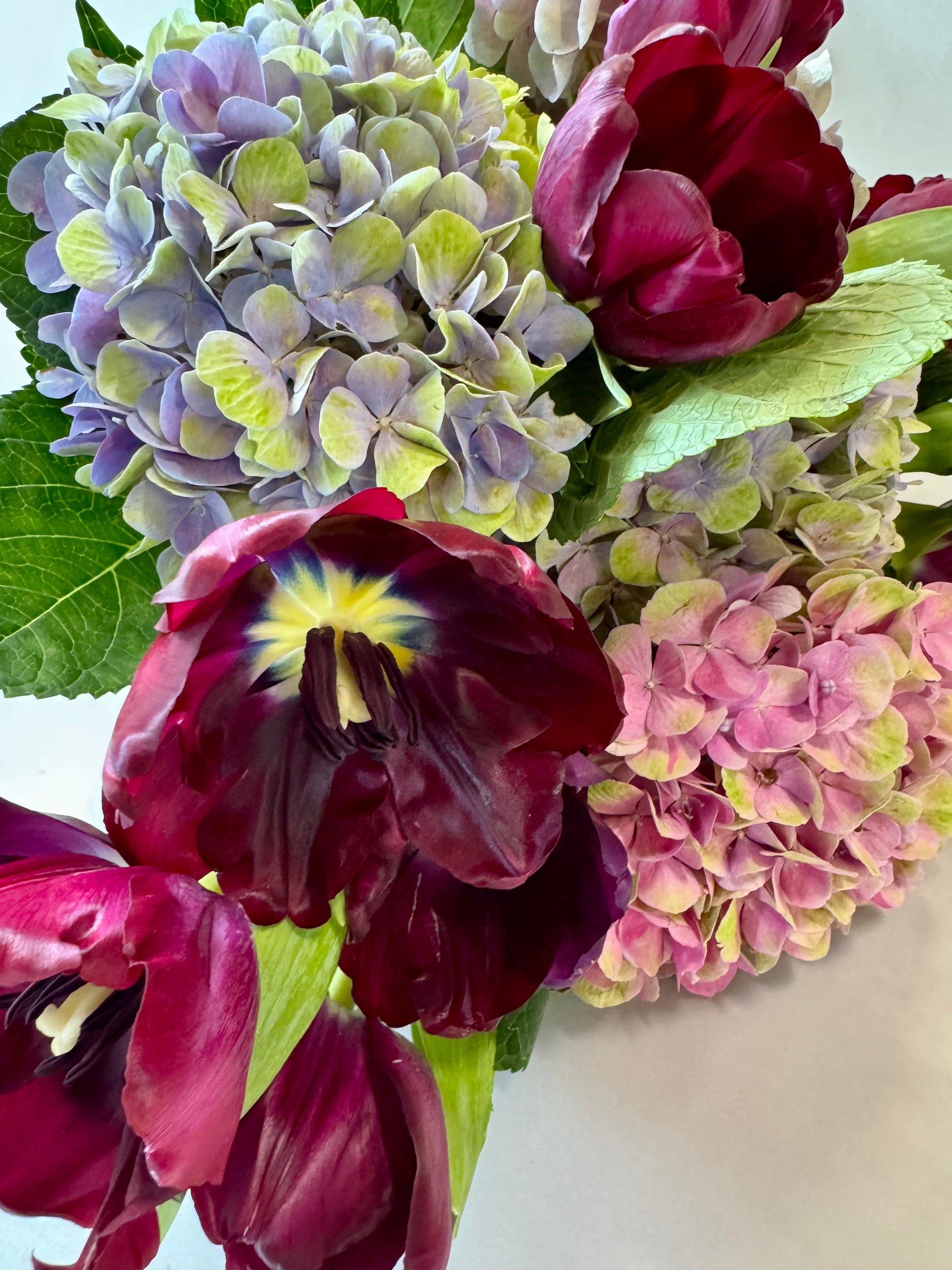 The #2 - Tulip & Hydy Salad