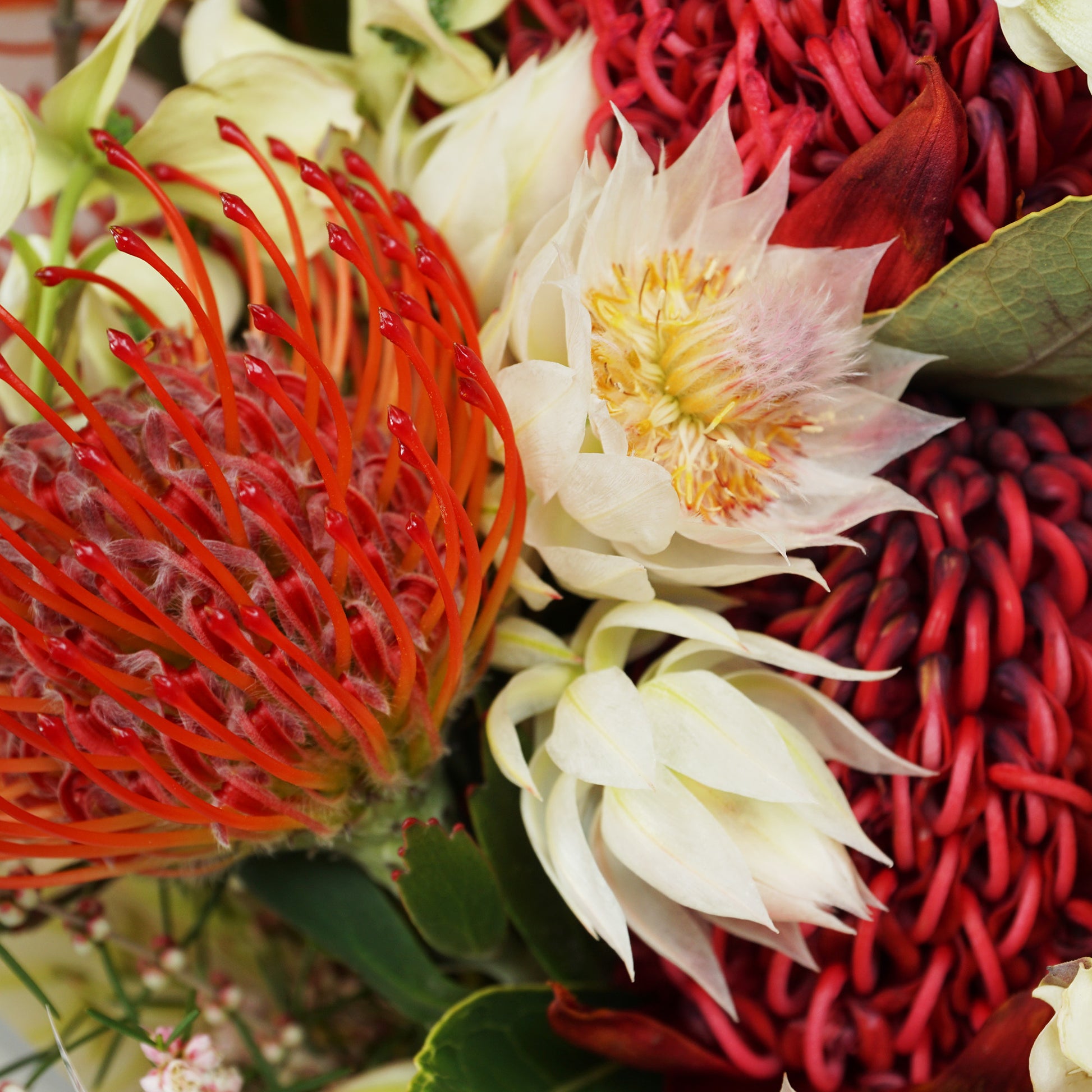 The #1 - Native with a Twist - Crushes Flowers