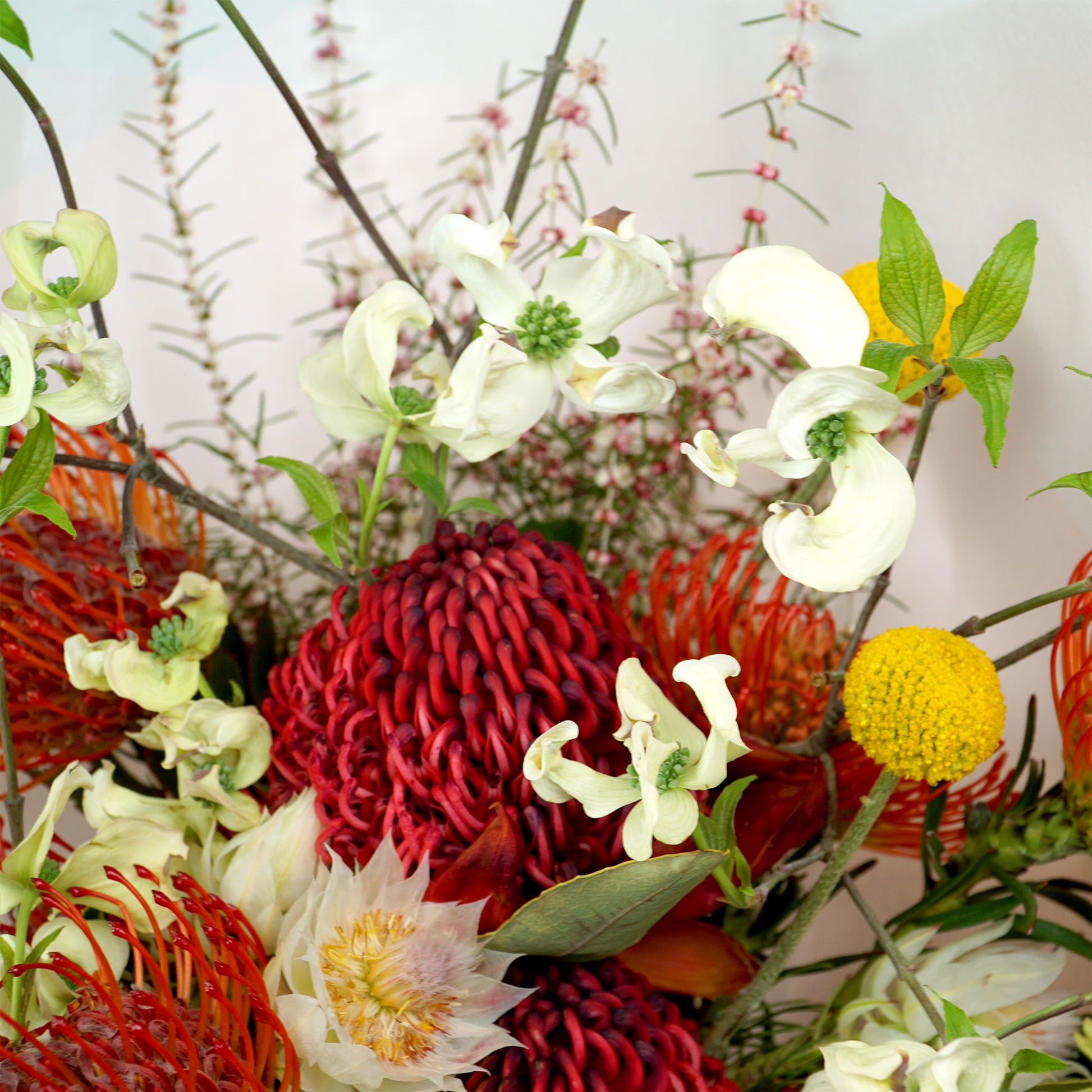 The #1 - Native with a Twist - Crushes Flowers