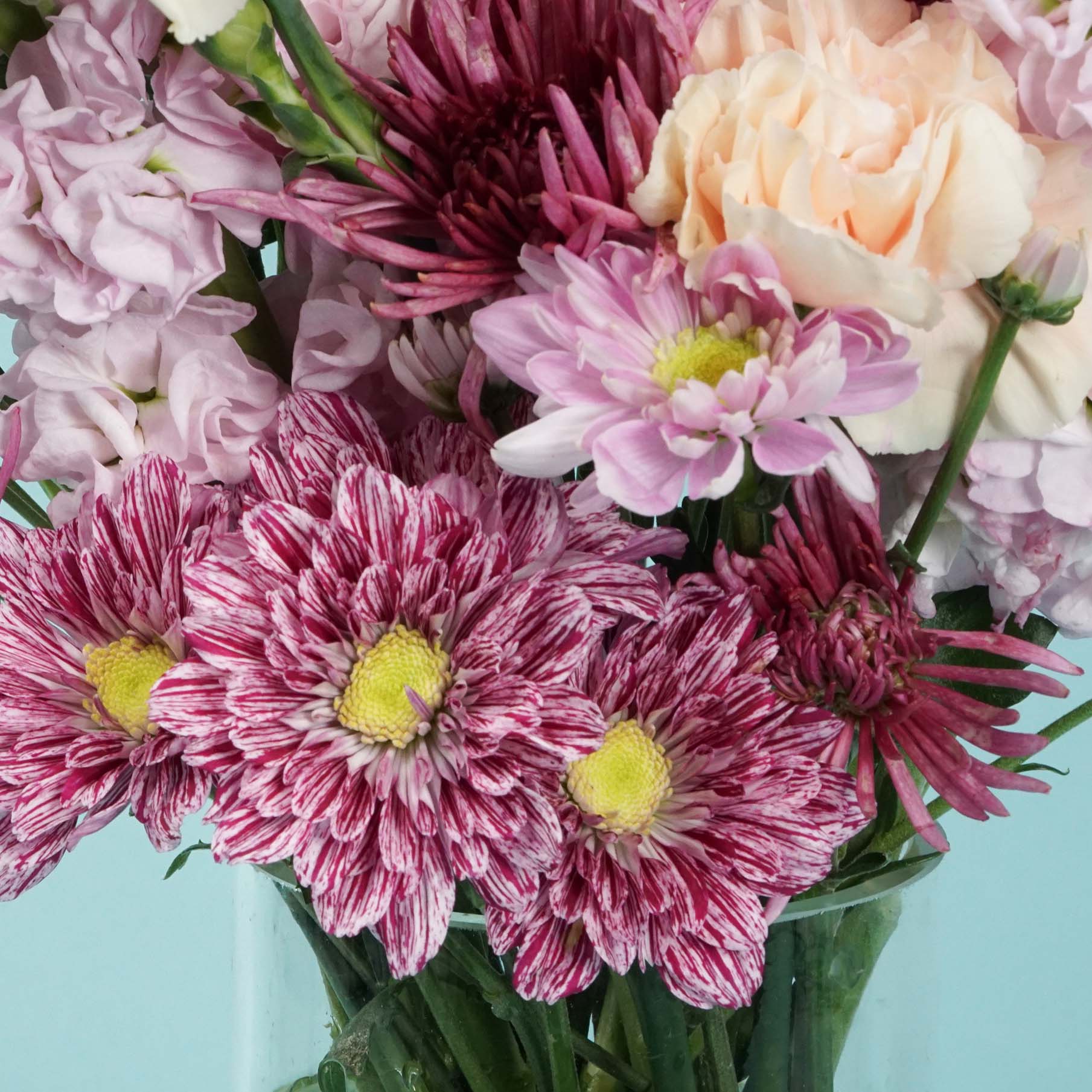 Vibrant bouquet featuring pink and white striped daisies, soft pink carnations, and chrysanthemums, set against a light blue background. Bright and cheerful.