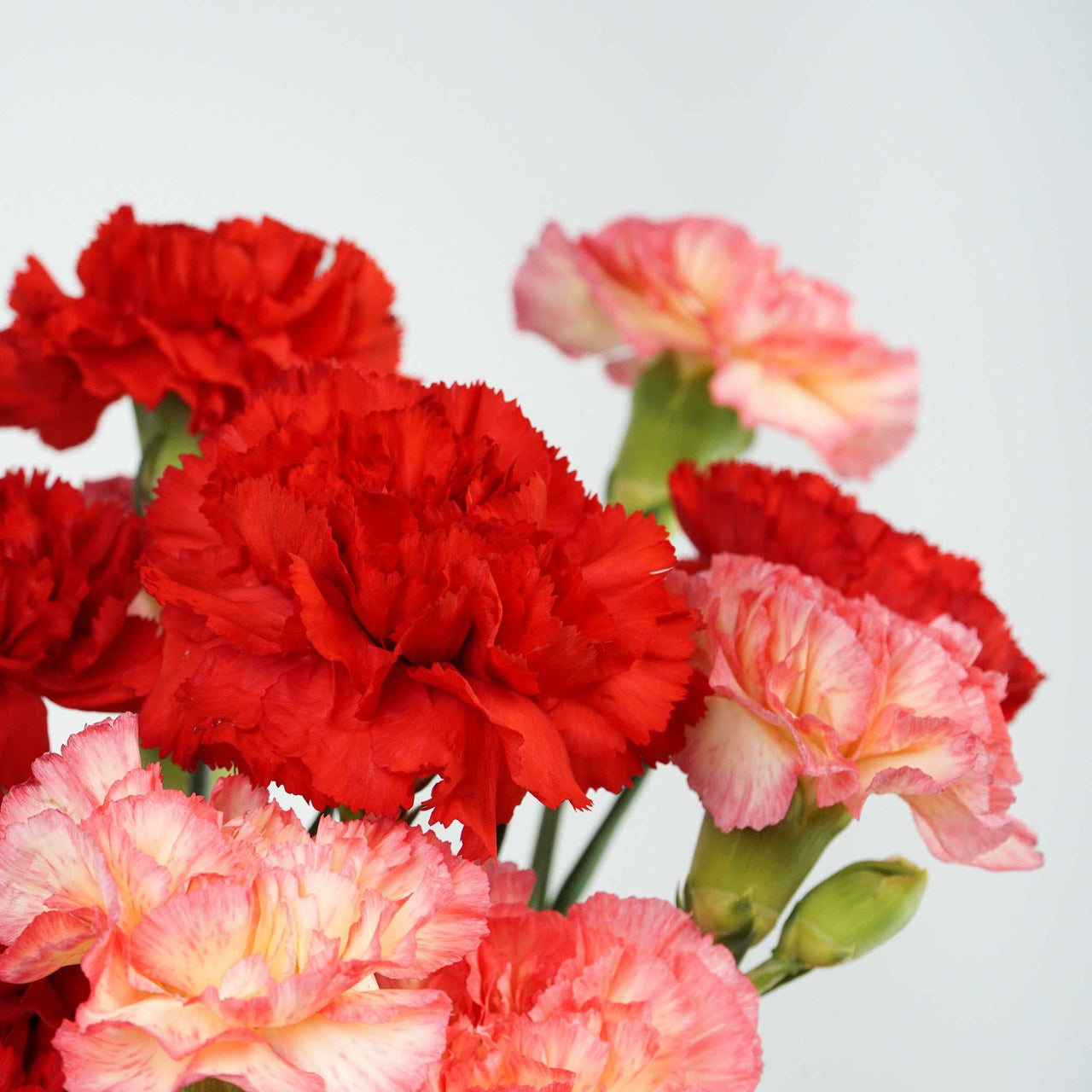 A bouquet of vibrant red and pink carnations wrapped in white paper labeled "Crushes".