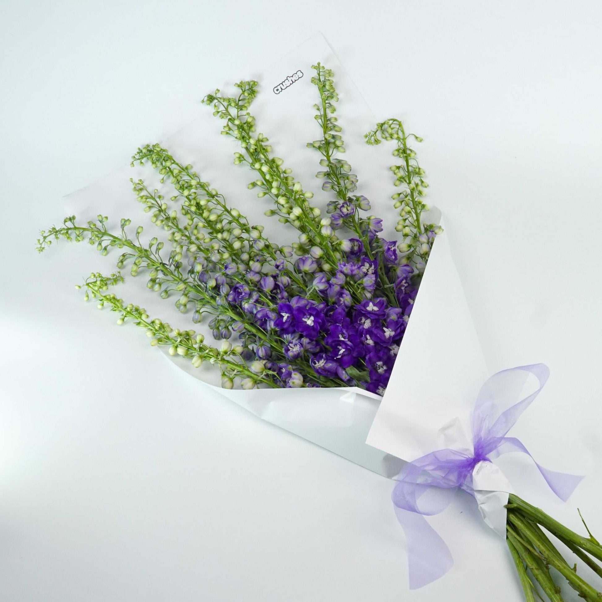 The Icons - Delphinium flowers wrapped in white paper with a purple ribbon.