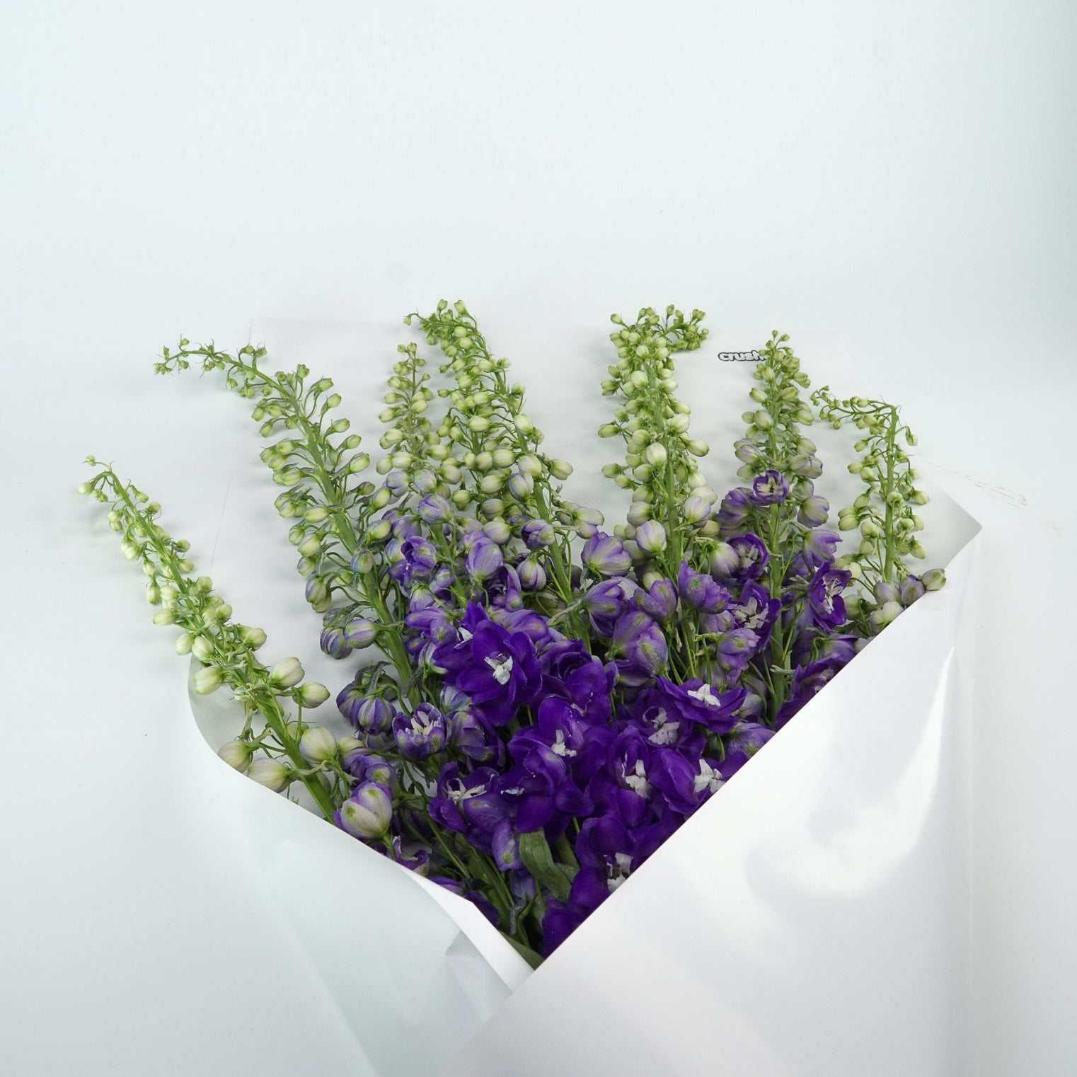 The Icons - Delphinium flower bunch with vibrant purple and green hues.